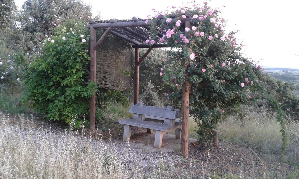 Holiday Home Monte Das Azinheiras Arraiolos Room photo