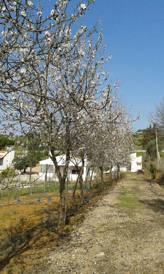 Holiday Home Monte Das Azinheiras Arraiolos Exterior photo